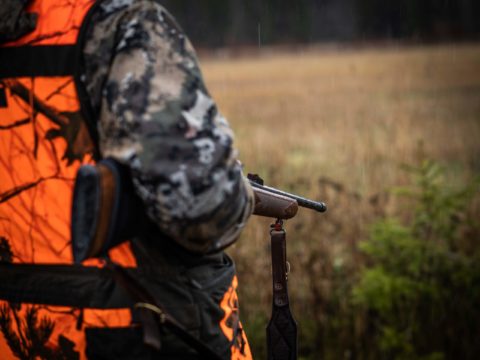 Näin kolme elävää hirveä ja yhden kuolleen – Viime viikonloppu metsällä oli koko kuluneen vuoden huikein!